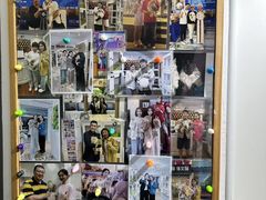 -青奢宠物·青奢猫舍