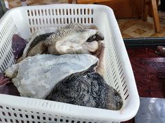 -佳荣老五生态牛肉馆