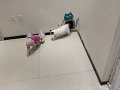 -藏猫猫咖啡主题馆(中央大道店)