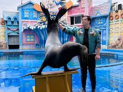 -华夏文旅海洋公园