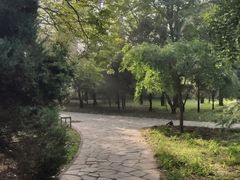 -金星公园