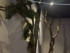 -上足·影院足道·SPA(红岭店)