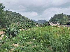 -福建土楼（华安）旅游区•大地土楼群