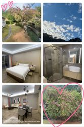 -爱帝宫月子中心(罗湖别墅院)