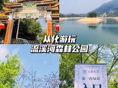 -广州市流溪河国家森林公园