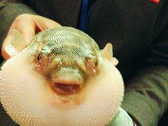 -永安鱼庄·镇江菜(东吴路店)