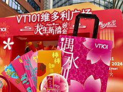 -VT101维多利广场