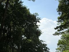 -火炉山森林公园
