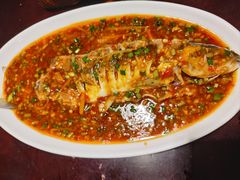 -陈麻婆豆腐总店