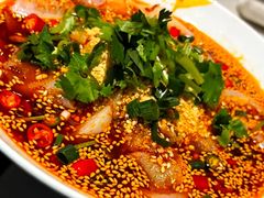 -云尊府云南菜·蒸汽石锅鱼(学清路店)