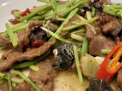 -新泉小傅美食(国贸天琴湾天境店)