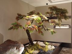 -湘上湘(米其林餐厅-正大中心总店)