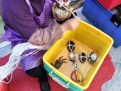 -蟹天蟹地农家菜·阳澄湖大闸蟹(浅水湾店)