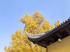 -上海青龙寺