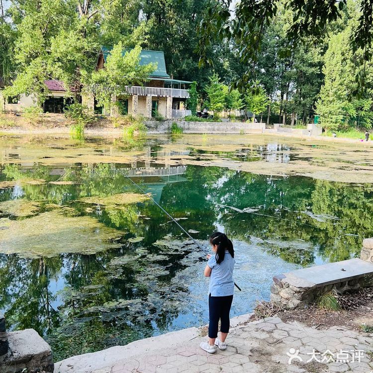 露营🏕️烧烤，遛娃好去处