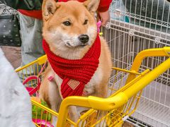 -佛山京华广场MALL