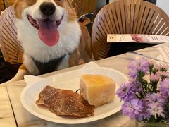 -the rug 飞毯 (朝阳公园店)