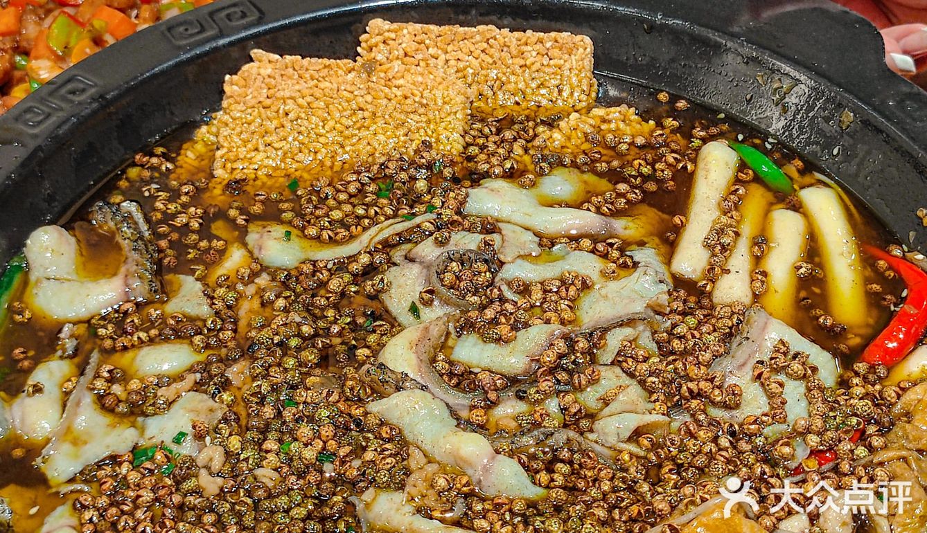 南京女大学生 勇闯鱼乐圈⭕️ 