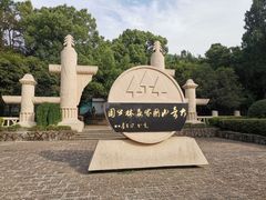 -大奇山国家森林公园