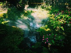 -Chom Cafe and Restaurant