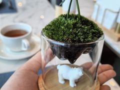 -星璞全日餐厅·高空自助餐(深铁铂尔曼酒店)
