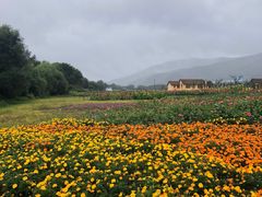 -帽儿山风景区