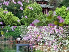 -星湖旅游景区七星岩