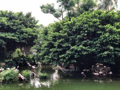 -九龙公园