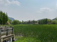 -贵阳市花溪国家城市湿地公园