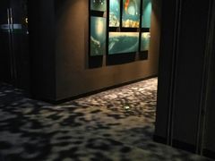 -万达影城IMAX(海口日月广场店)