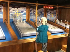 -东京塔海贼王主题公园