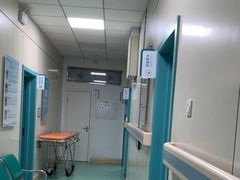 -北京观赏动物医院·24小时大型综合·猫专科·异宠专科