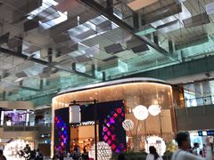 -樟宜机场免税店