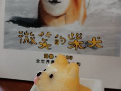 -柴犬高等学院·狗咖·柴犬售卖·宠物训练