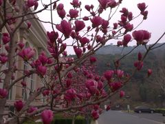 -北京宽沟会议中心