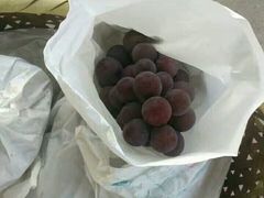 -美家乐农庄·露营·团建(大治路店)