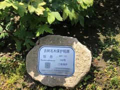 -龙华寺