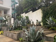 -南山植物园