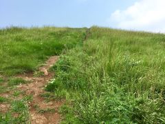 -恋山坝上草原