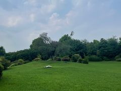 -桃花岛景观公园