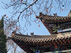 -碑林公园