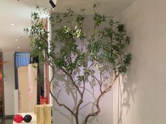 -紫腾大院·南京菜(江宁店)