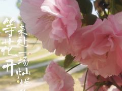 -府河摄影公园