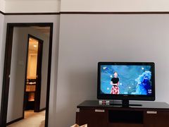 -武汉江城明珠豪生大酒店