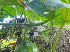 -百里峡七彩艺术小镇