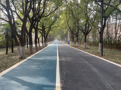 -昆山城市生态森林公园