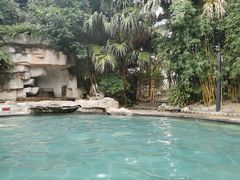 -雅安楠水阁温泉酒店