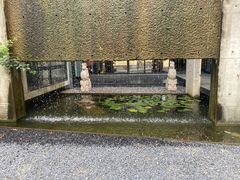 -苏州本色美术馆