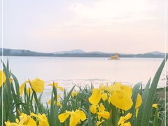 -蠡湖中央公园