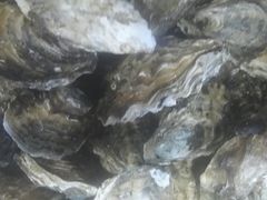 -兴隆海鲜菜馆